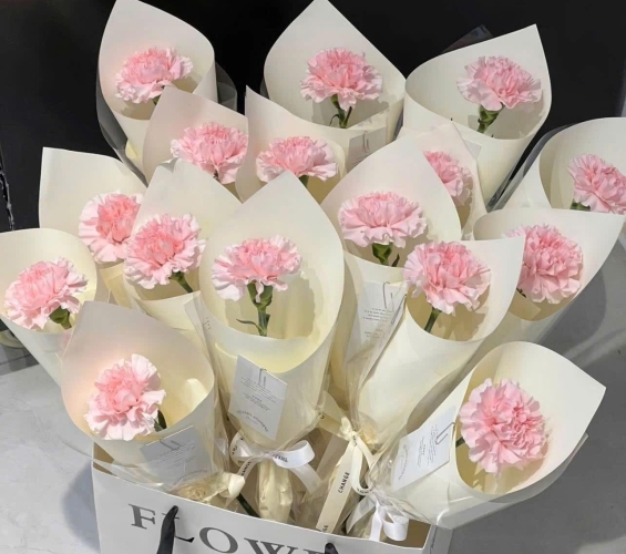 HOA BÓ KIỂU 9