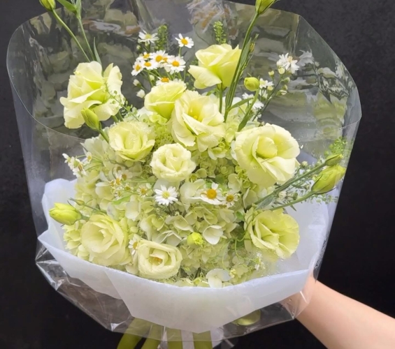 HOA BÓ KIỂU 1