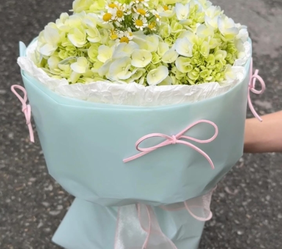 HOA BÓ KIỂU 5