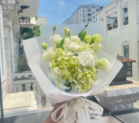 HOA BÓ KIỂU 7