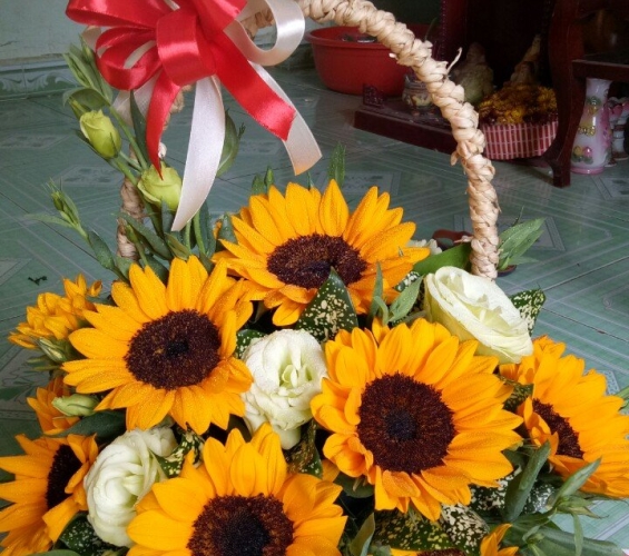 GIỎ HOA HƯỚNG DƯƠNG
