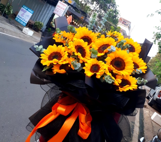 HOA HƯỚNG DƯƠNG