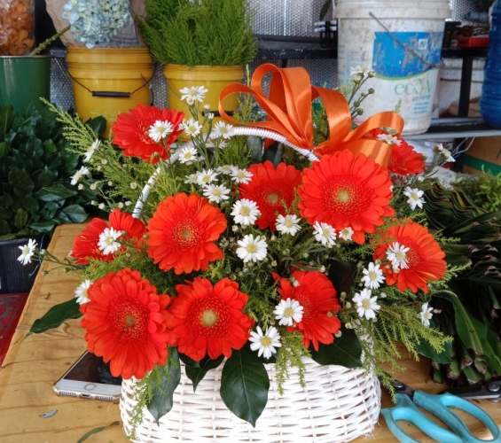 HOA GIỎ 18