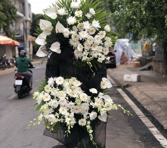 HOA CHIA BUỒN BÌNH PHƯỚC