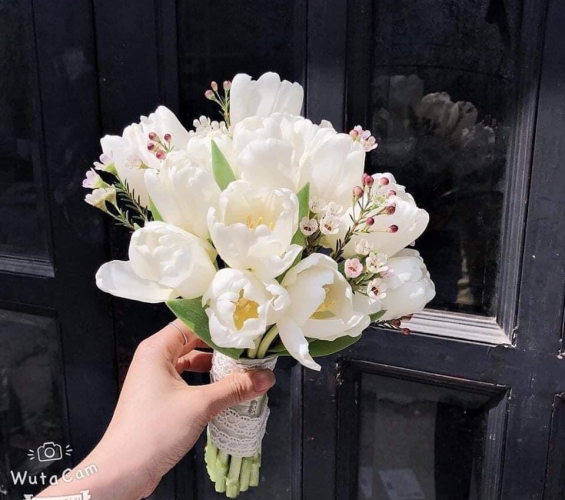 HOA CẦM TAY CÔ DÂU - HOA TULIP
