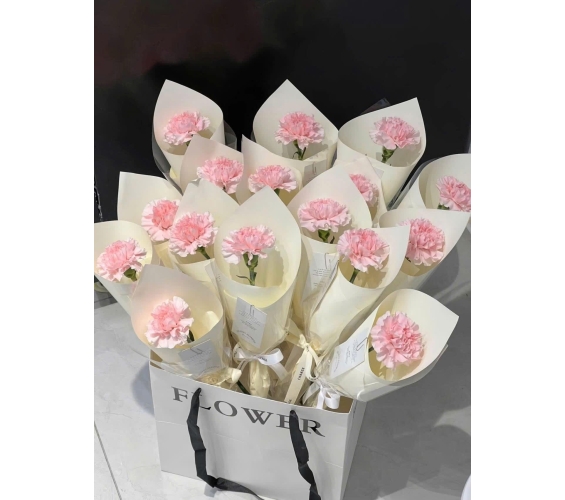 HOA BÓ KIỂU 9
