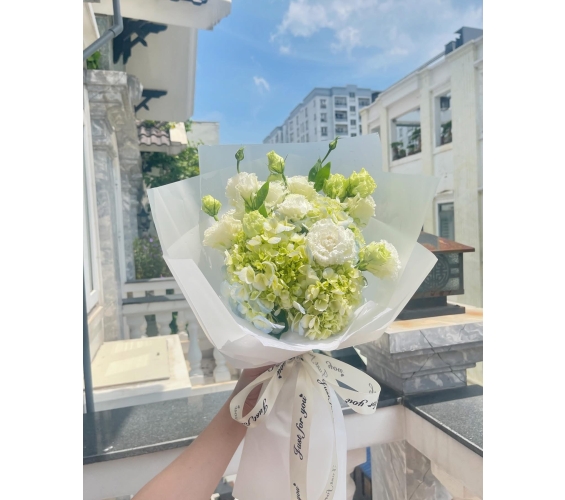 HOA BÓ KIỂU 7