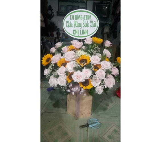 HOA HỘP - HOA TƯƠI BÌNH PHƯỚC