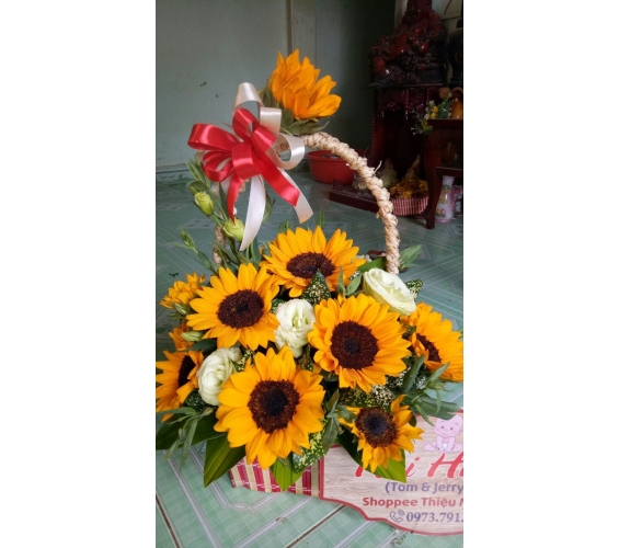 GIỎ HOA HƯỚNG DƯƠNG