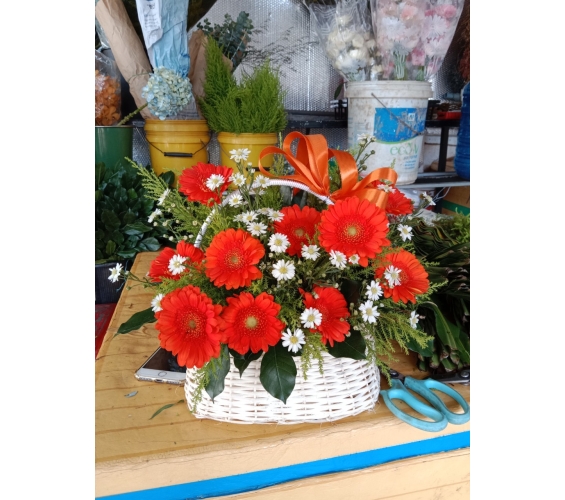 HOA GIỎ 18