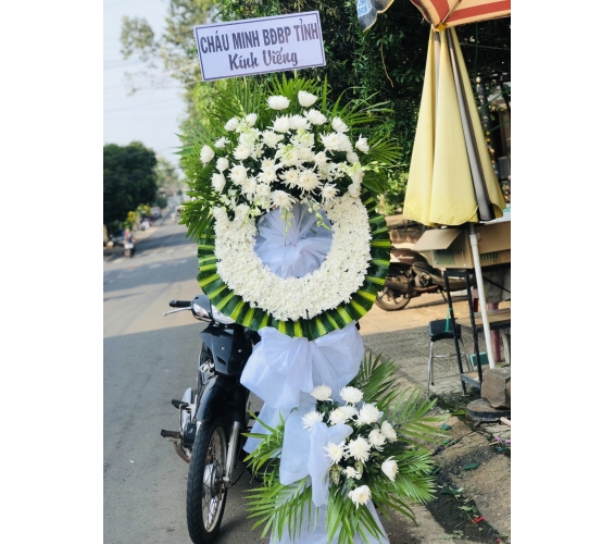 HOA CHIA BUỒN - HOA TƯƠI BÌNH LONG BÌNH PHƯỚC