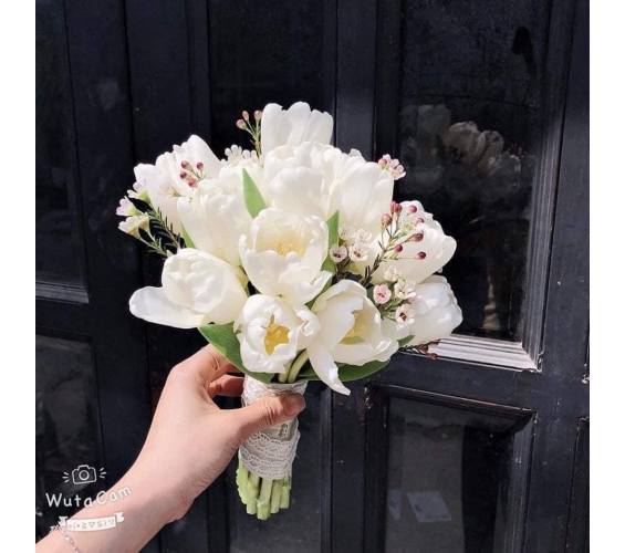 HOA CẦM TAY CÔ DÂU - HOA TULIP