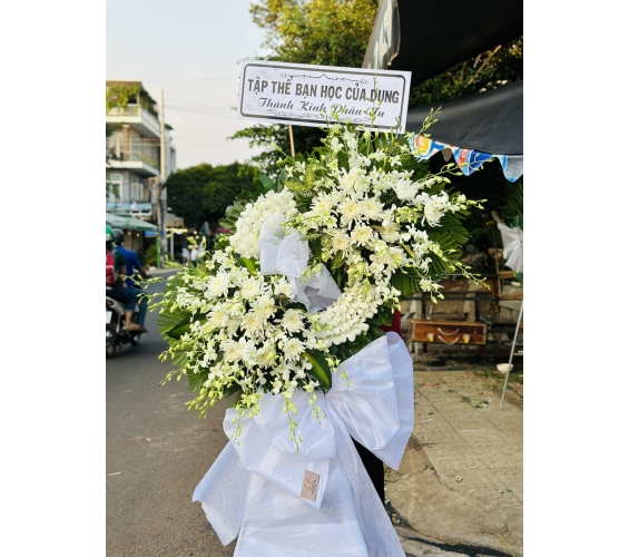 SHOP HOA CHIA BUỒN BÌNH LONG